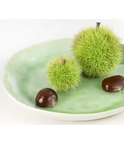 Esskastanie 'Bouche De Betizac' -Compo Verkaufsgeschäft 7621998 PR DE 002 CastaneaSativaBetizacEsskastanieDehnerExpressHerzig