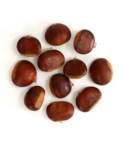 Esskastanie 'Bouche De Betizac' -Compo Verkaufsgeschäft 7621998 WE FS 003 EsskastanieMaroneCastaneaSativaDehnerExpressHerzig