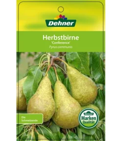 Herbstbirne 'Conference' -Compo Verkaufsgeschäft 7625908 HerbstbirneConference Etikett 1