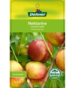 Nektarine 'Crimson Gold' -Compo Verkaufsgeschäft 7626005 NektarineCrimsonGold Etikett 1