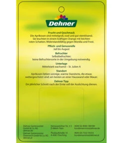 Aprikose 'Compacta' -Compo Verkaufsgeschäft 7626021 AprikoseCompacta Etikett 2