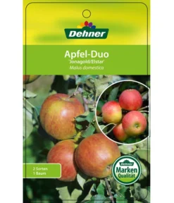 Apfel-Duo 'Jonagold'/'Elstar' -Compo Verkaufsgeschäft 7639248 Apfel DuoJonagoldElstar Etikett 1