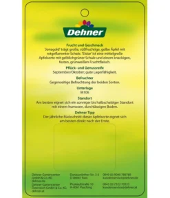 Apfel-Duo 'Jonagold'/'Elstar' -Compo Verkaufsgeschäft 7639248 Apfel DuoJonagoldElstar Etikett 2