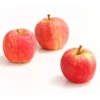 Herbstapfel 'Gala'