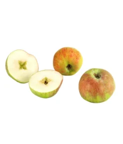 Herbstapfel 'Gravensteiner'