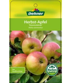 Herbstapfel 'Gravensteiner' -Compo Verkaufsgeschäft 7657398 HerbstapfelGravensteiner Etikett 1