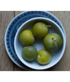 Dehner Reneklode 'Große Grüne Reneklode'