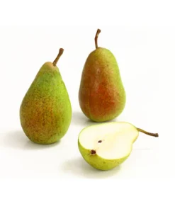 Sommerbirne 'Gute Luise' -Compo Verkaufsgeschäft 7658578 WE DE 006 BirneGuteLuiseDehnerExpressHerzig