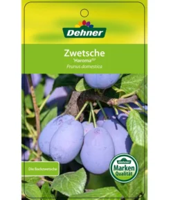 Zwetschge 'Haroma' -Compo Verkaufsgeschäft 7662703 ZwetscheHaroma Etikett 1