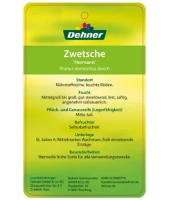 Zwetschge 'Hermann' -Compo Verkaufsgeschäft 7666688 ZwetschgeHermann Etikett 2
