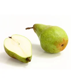 Winterbirne 'Novembra' -Compo Verkaufsgeschäft 7723695 WE DE 004 BirneNovemberDehnerExpressHerzig