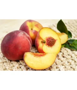 Gelbfleischiger Pfirsich -Compo Verkaufsgeschäft 7728843 PR FS 001 GelbfleischigerPfirsichPixabay