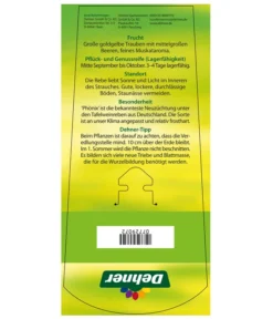 Tafeltraube 'Phönix' -Compo Verkaufsgeschäft 7729072 TafeltraubePhoenix Etikett2