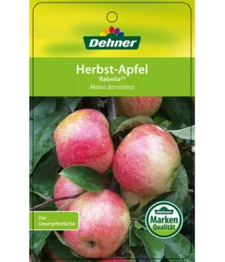 Herbstapfel 'Rebella' -Compo Verkaufsgeschäft 7737075 HerbstapfelRebella Etikett 1