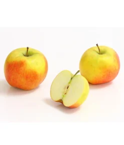 Säulenapfel 'Rondo' -Compo Verkaufsgeschäft 7744873 WE DE 002 ApfelRondoDehnerExpressHerzig