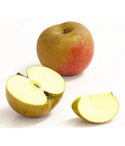 Winterapfel 'Roter Boskoop' -Compo Verkaufsgeschäft 7745409 WE DE 002 ApfelBoskoopDehnerExpressHerzig