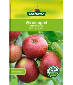Winterapfel 'Roter Boskoop' -Compo Verkaufsgeschäft 7745409 WinterapfelRoterBoskoop Etikett 1