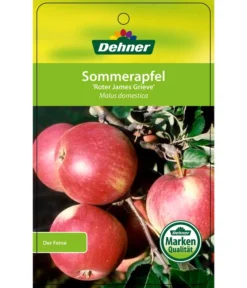 Sommerapfel 'Roter James Grieve' -Compo Verkaufsgeschäft 7745730 SommerapfelRoterJamesGrieve Etikett 1
