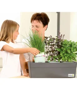 GREENBAR® Naschtomate -Compo Verkaufsgeschäft 7750482 WE MO 009 GreenbarAnleitungIndoor