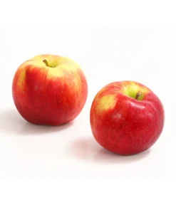 Allergikerapfel 'Santana'
