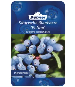 Maibeere -Compo Verkaufsgeschäft 7756448 SibirischeBlaubeerePolina Etikett 1