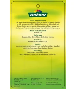 Kirschen-Duo 'Sunburst/Burlat' -Compo Verkaufsgeschäft 7760713 Suesskirschen DuoSunburstBurlat Etikett 2