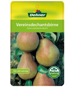 Herbstbirne 'Vereinsdechant' -Compo Verkaufsgeschäft 7772064 BirneVereinsdechant Etikett 1