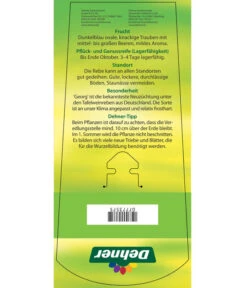 Tafeltraube 'Georg' -Compo Verkaufsgeschäft 7773575 TafeltraubeGeorg Etikett 2