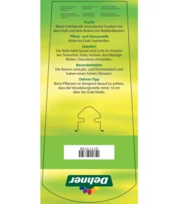 Tafeltraube 'Erdbeertraube' -Compo Verkaufsgeschäft 7773708 TafeltraubeErdbeertraube Etkett 2