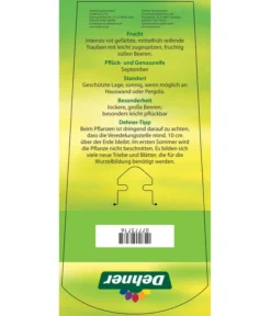 Tafeltraube 'Katharina' -Compo Verkaufsgeschäft 7773716 TafeltraubeKatharina Etikett 2