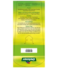 Tafeltraube 'Vanessa' -Compo Verkaufsgeschäft 7773732 TafeltraubeVanessa Etikett2