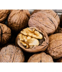 Moselaner Walnuss Klon 120