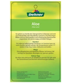 Echte Aloe-Set - Aloe Vera -Compo Verkaufsgeschäft 7976202 AloeVeraEtikett2