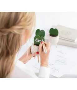 Dehner Beton-Übertopf Gaby, Rund, Ca. Ø7,5 Cm -Compo Verkaufsgeschäft 7978075 WE MO 001 HoyaKerriiHerzblattReelValentin202303