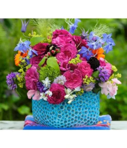 Beetrose 'Kaffe Fassett®' -Compo Verkaufsgeschäft 7988181 PR DE 004 EdelroseKaffeFassettTantau