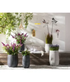 Neue Produkte -Compo Verkaufsgeschäft 8092108 PR MO 005 LavendelLavandulaAngustifoliaT13Schmetterlingsgarten Rosen usw GC14 2020