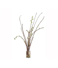 Kirschzweige-Bund, Ca. 80-100 Cm -Compo Verkaufsgeschäft 8149049 WE FS 002 KirschzweigeBundDehnerExpressHerzig