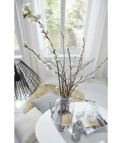 Kirschzweige-Bund, Ca. 80-100 Cm -Compo Verkaufsgeschäft 8149049 PR MO 001 KirschzweigeFotoshootingUveSauerFebruar2016