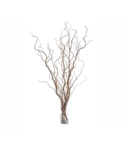 Korkenzieherweide-Bund -Compo Verkaufsgeschäft 8149114 WE FS 002 KorkenzieherweideBraunBundDehnerExpressHerzig