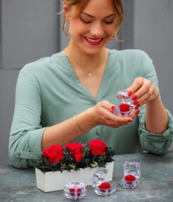 Longlife-Rose In Juwelenbox, Ca. Ø3,5 Cm -Compo Verkaufsgeschäft 8167041 WE MO 001 LonglifeArrangementElenRot