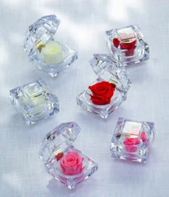 Longlife-Rose In Juwelenbox, Ca. Ø3,5 Cm -Compo Verkaufsgeschäft 8167413 8170573 8167041 WE MO LonglifeZinaRosa