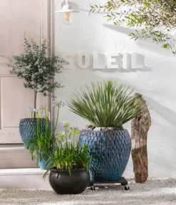 Dehner Keramik-Topf Bavaria, Bauchig -Compo Verkaufsgeschäft 8200735 8684920 8586133 8591281 8533044 WE MO 001 AgapanthusT17 GC08 2022 BL 1