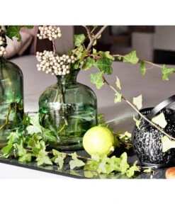 Efeu - Hedera Helix, Grünlaubig -Compo Verkaufsgeschäft 8224255 8224248 MO EfeuGruenPixabay