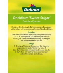 Oncidium - Oncidium Cultivars 'Sweet Sugar' -Compo Verkaufsgeschäft 8249708 8251662 Oncidium Sweet Sugar Etikett 2
