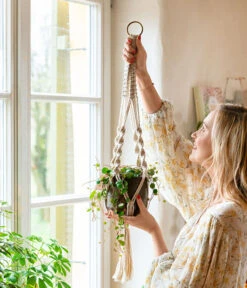 Peperomie - Peperomia 'Pepperspot' -Compo Verkaufsgeschäft 8252173 WE MO 001 PeperomiePepperspotMakrameeAmpel