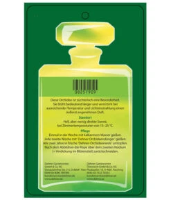 Duft-Orchidee - Phalaenopsis-Hybride 'Flacon Solaire' -Compo Verkaufsgeschäft 8257909 Etikett2 PhalaenopsisFlaconSolaire 02072018