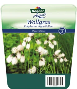 Schmalblättriges Wollgras -Compo Verkaufsgeschäft 8311383 Wollgras Etikett 1