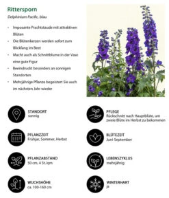 Rittersporn, Verschiedene Farben -Compo Verkaufsgeschäft 8352692 WE IG 001 RitterspornBlau