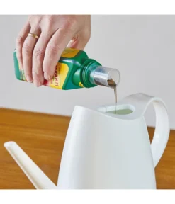 Seramis Vitalnahrung Für Kakteen & Sukkulenten, 200 Ml -Compo Verkaufsgeschäft 8475881 WE MO 001 SeramisKakteenSukkulentenDuenger200ml