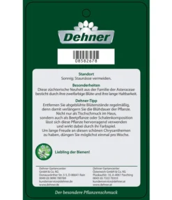 Chrysantheme 'Cirus' -Compo Verkaufsgeschäft 8582678 ChrysanthemeRainbowCircus Etikett 2